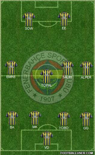 Fenerbahçe SK Formation 2013