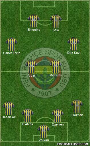 Fenerbahçe SK Formation 2013