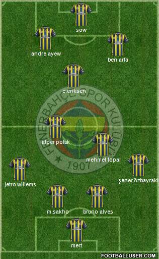 Fenerbahçe SK Formation 2013