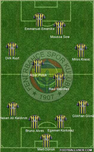 Fenerbahçe SK Formation 2013