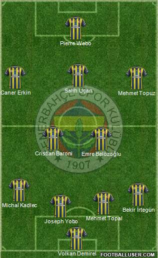 Fenerbahçe SK Formation 2013