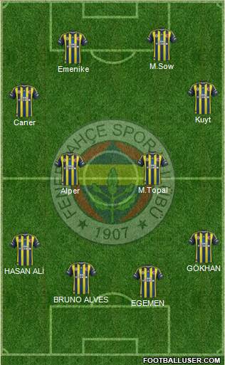 Fenerbahçe SK Formation 2013