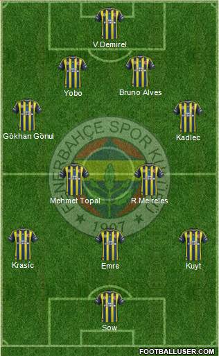 Fenerbahçe SK Formation 2013