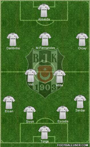 Besiktas JK Formation 2013