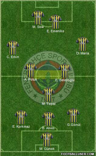 Fenerbahçe SK Formation 2013