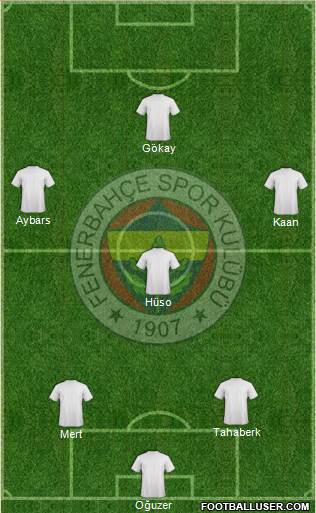 Fenerbahçe SK Formation 2013