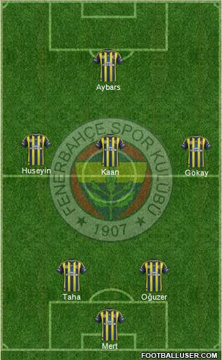 Fenerbahçe SK Formation 2013