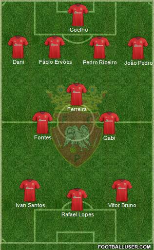 Futebol Clube de Penafiel Formation 2013