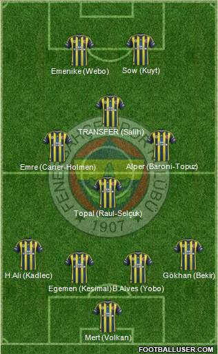Fenerbahçe SK Formation 2013