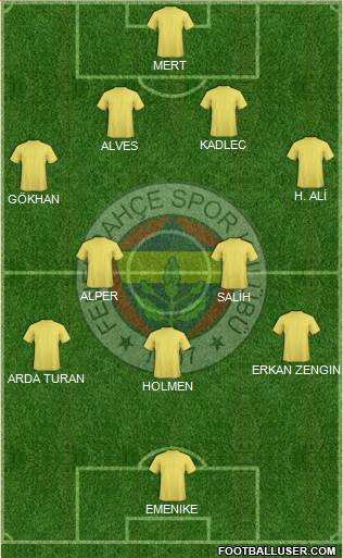 Fenerbahçe SK Formation 2013