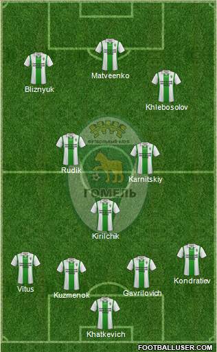 FC Gomel Formation 2013