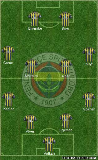 Fenerbahçe SK Formation 2013