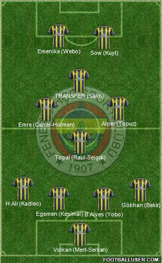 Fenerbahçe SK Formation 2013