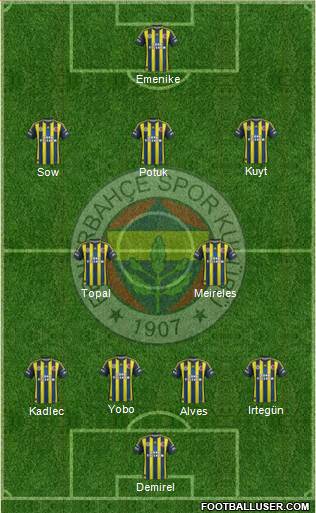 Fenerbahçe SK Formation 2013