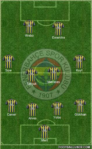 Fenerbahçe SK Formation 2013
