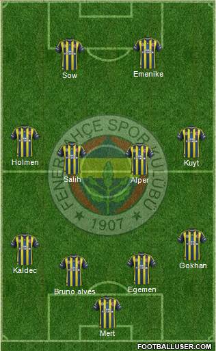 Fenerbahçe SK Formation 2013