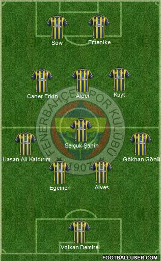 Fenerbahçe SK Formation 2013