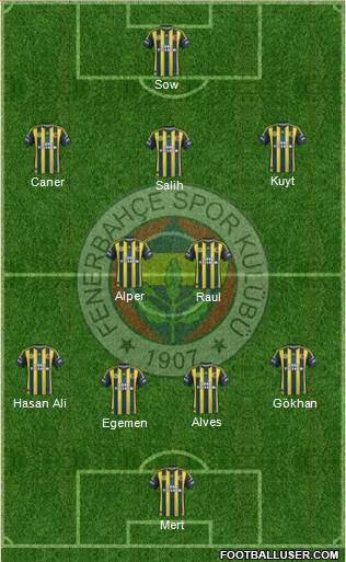 Fenerbahçe SK Formation 2013