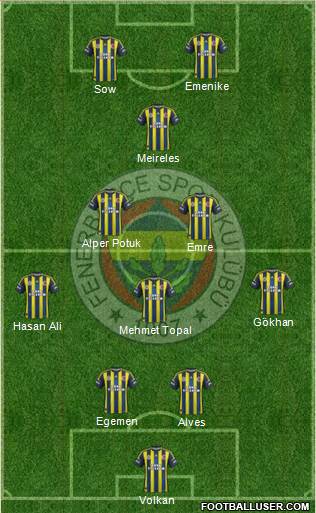 Fenerbahçe SK Formation 2013