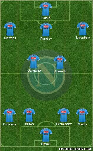 Napoli Formation 2013