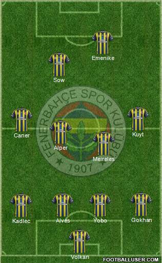 Fenerbahçe SK Formation 2013
