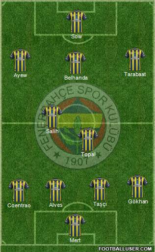 Fenerbahçe SK Formation 2013