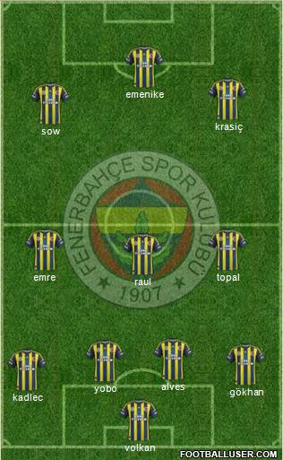 Fenerbahçe SK Formation 2013