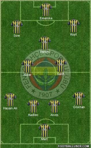 Fenerbahçe SK Formation 2013