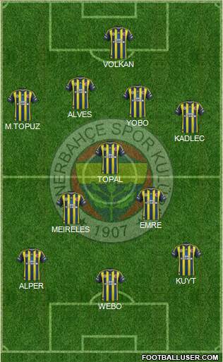 Fenerbahçe SK Formation 2013