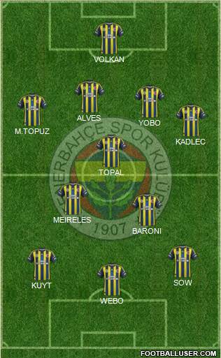 Fenerbahçe SK Formation 2013