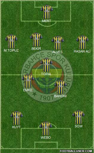 Fenerbahçe SK Formation 2013