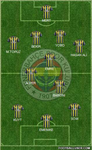 Fenerbahçe SK Formation 2013
