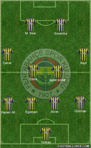 Fenerbahçe SK Formation 2013