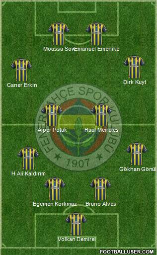 Fenerbahçe SK Formation 2013