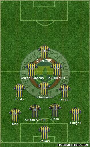Fenerbahçe SK Formation 2013
