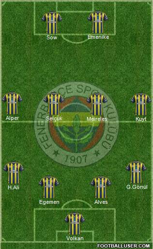 Fenerbahçe SK Formation 2013