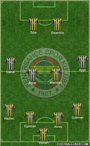 Fenerbahçe SK Formation 2013
