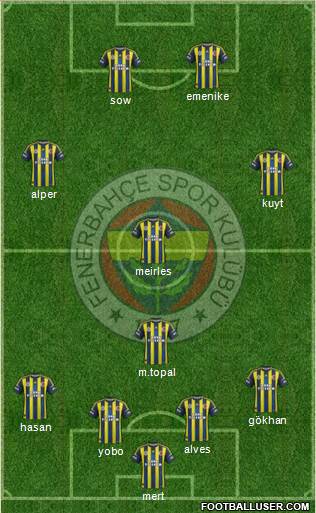 Fenerbahçe SK Formation 2013