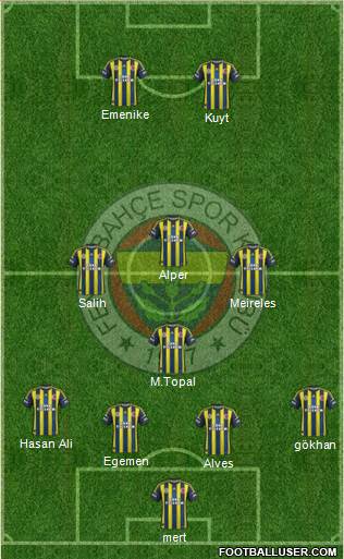 Fenerbahçe SK Formation 2013