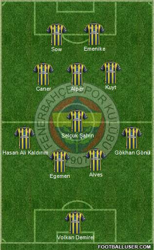 Fenerbahçe SK Formation 2013