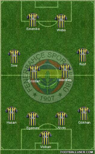 Fenerbahçe SK Formation 2013