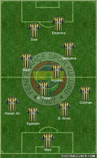 Fenerbahçe SK Formation 2013