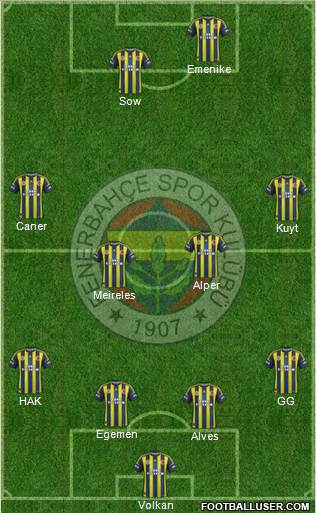 Fenerbahçe SK Formation 2013