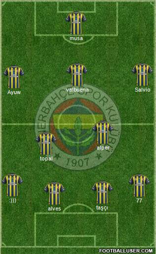 Fenerbahçe SK Formation 2013