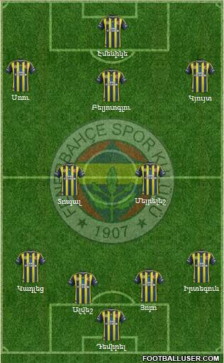 Fenerbahçe SK Formation 2013