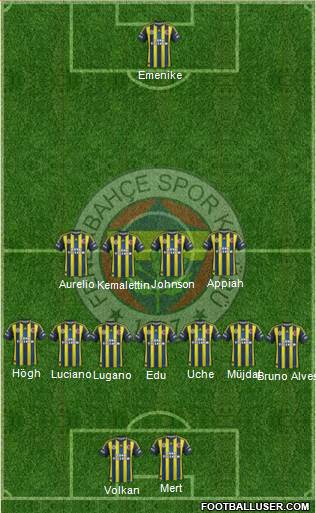 Fenerbahçe SK Formation 2013