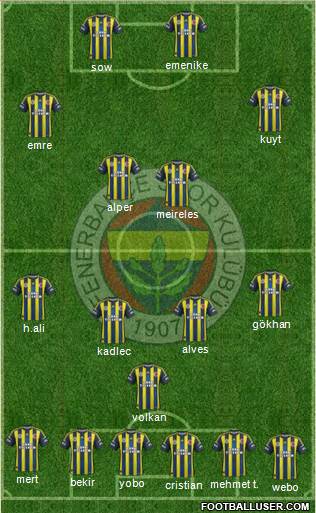Fenerbahçe SK Formation 2013