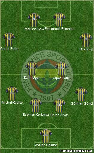 Fenerbahçe SK Formation 2013