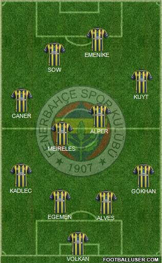 Fenerbahçe SK Formation 2013