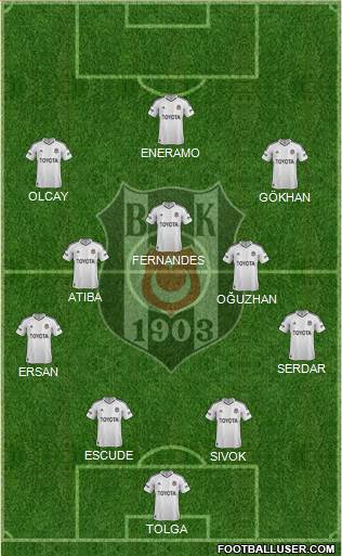 Besiktas JK Formation 2013